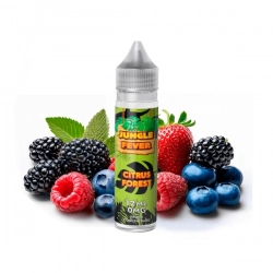 Příchuť Jungle Fever Shake and Vape Citrus Forest